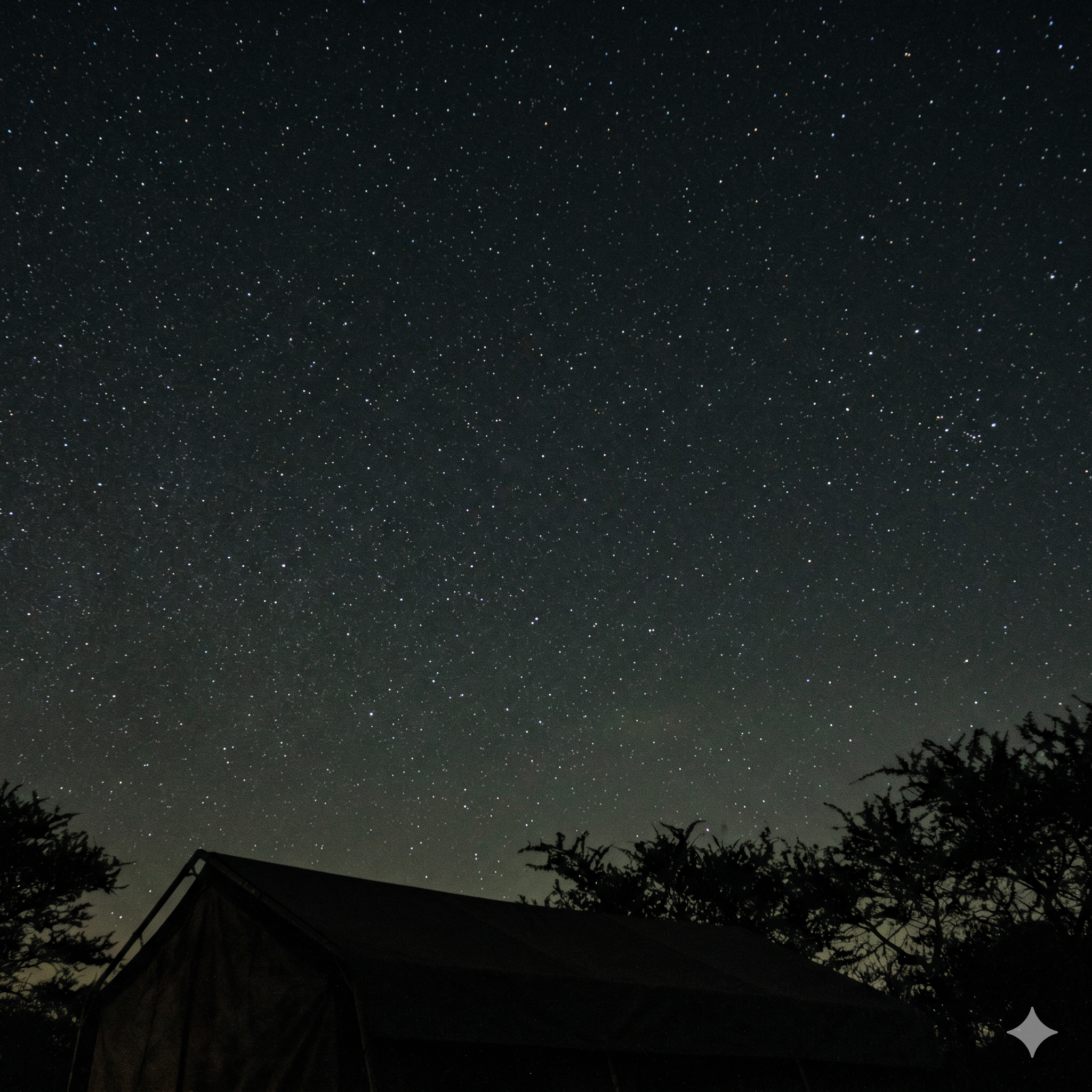 Night sky over the Vaalpenskraal camp