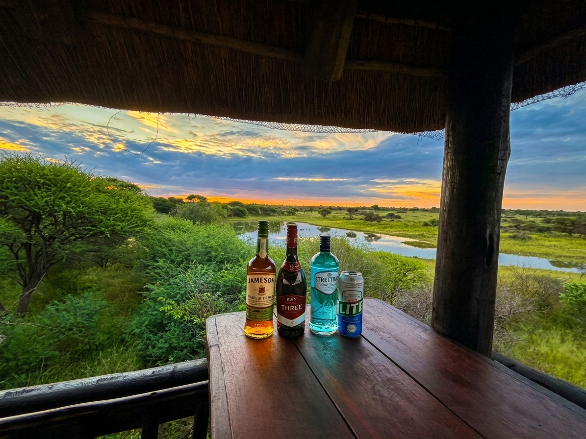 Camp and chalets from an elevated outlook over the bush