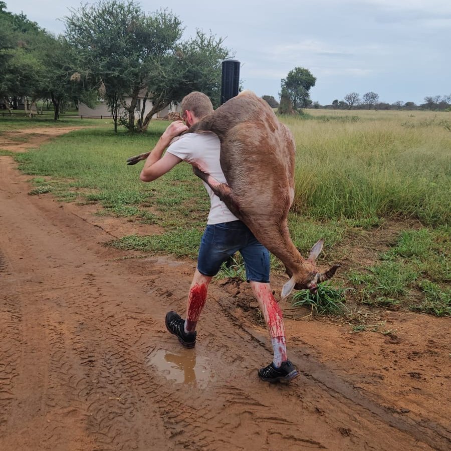 Hunter moving alone through dense Waterberg thicket